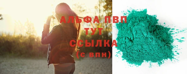 дмт Пестово