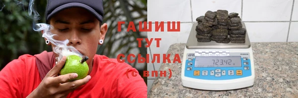 дмт Пестово