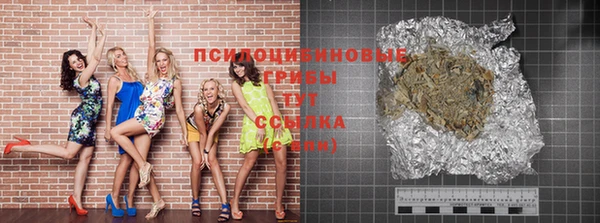 spice Покачи