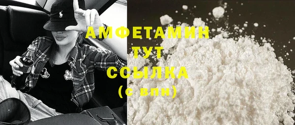 дмт Пестово