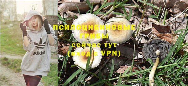скорость Пересвет