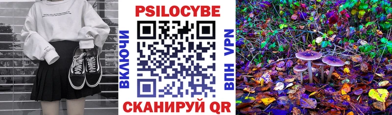 купить закладку  Уварово  Псилоцибиновые грибы ЛСД 