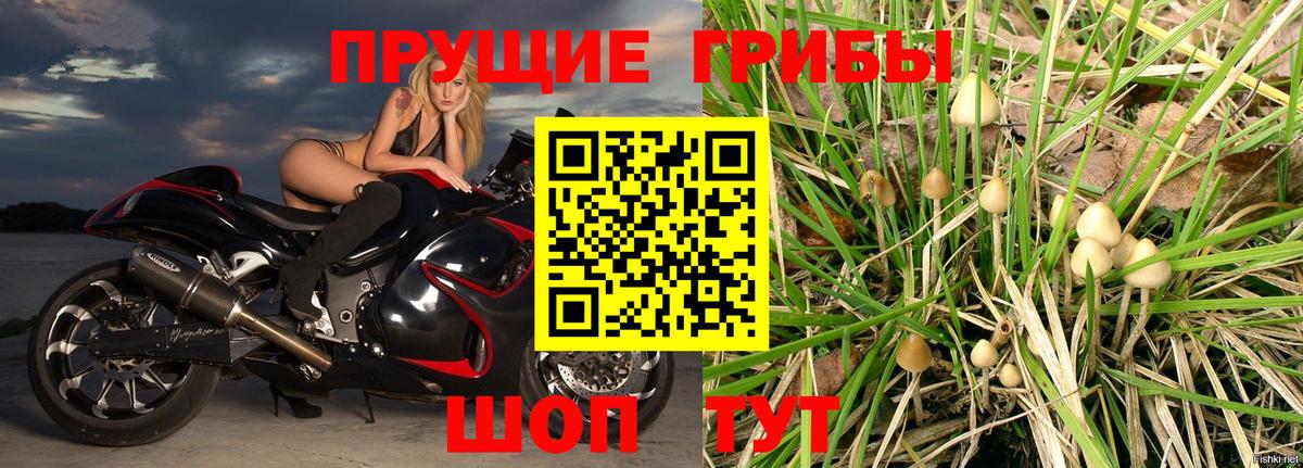 закладки  Галлюциногенные грибы MAGIC MUSHROOMS  Вход с VPN  Галлюциногенные грибы GOLDEN TEACHER  Уварово 