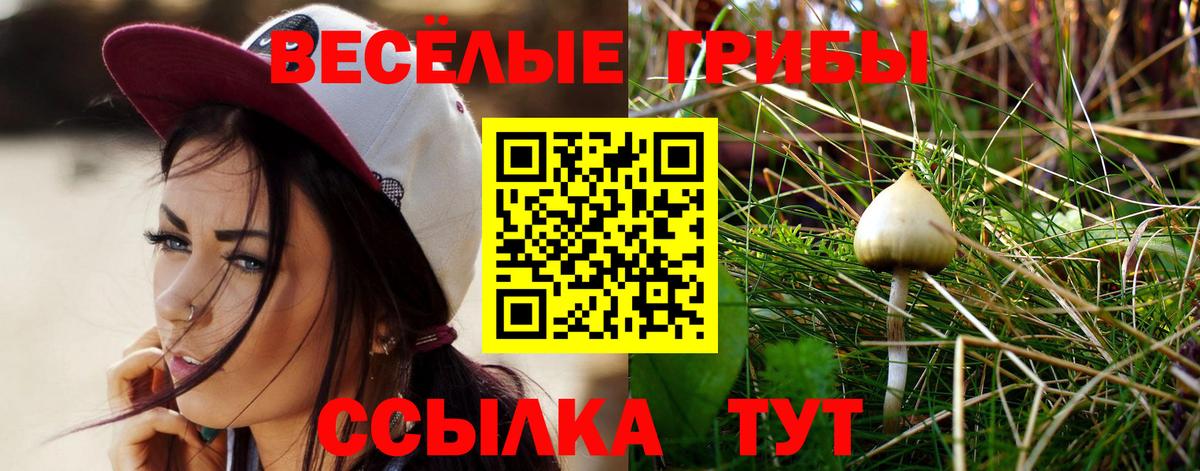 ГАШ  Экстази  АМФЕТАМИН кристаллы  Меф   Cocaine  Уварово  Вход с VPN  LSD-25 