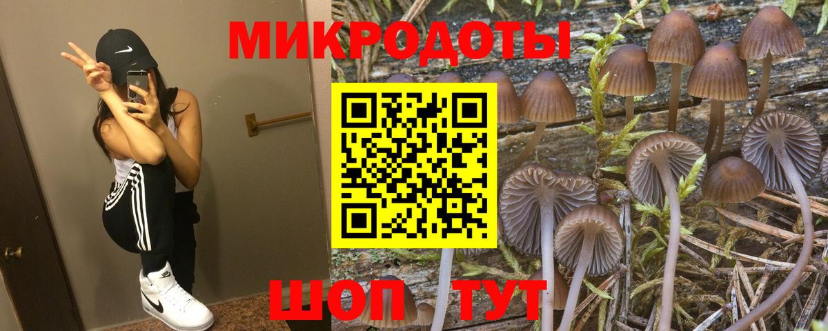 Галлюциногенные грибы Psilocybe Уварово